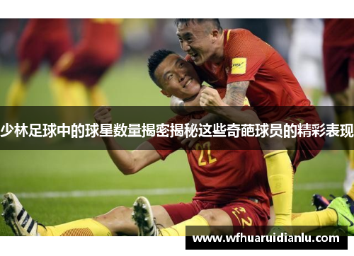 少林足球中的球星数量揭密揭秘这些奇葩球员的精彩表现