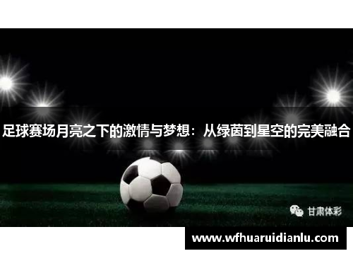 足球赛场月亮之下的激情与梦想：从绿茵到星空的完美融合